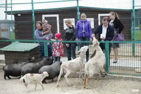 Белая Лошадь - 18