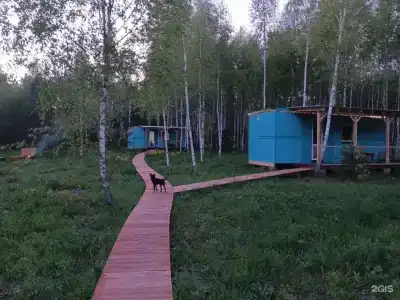 Лесной сон - 45