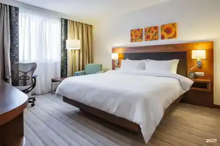 Hilton Garden Inn Ufa Riverside - 66