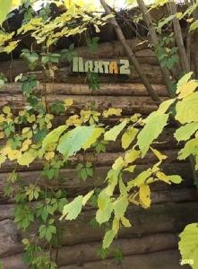 в лесу - 121
