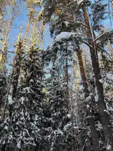 Тюрагай - 59
