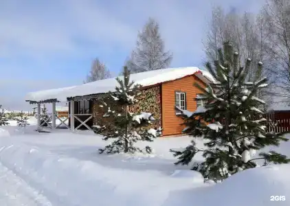 Дикий Гусь - 30