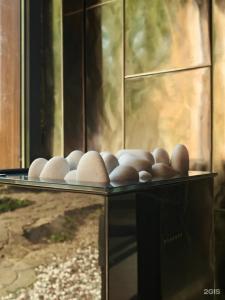 Novoehouse - 8