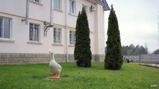 Космос - 15