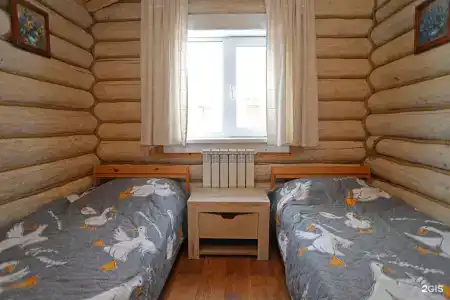 Дикий Гусь - 16