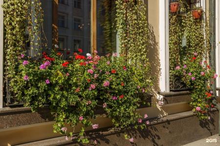 Амбассадори - 53