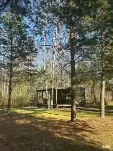 Клюква - 99