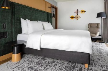 Radisson Blu Hotel - 80