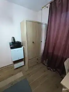 Эвкалипт - 61