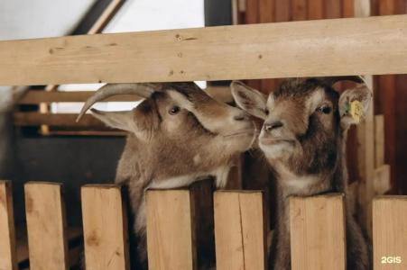 Кроличья нора - 134