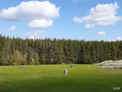 Теплый хутор - 85