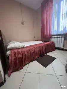 Лотос - 1