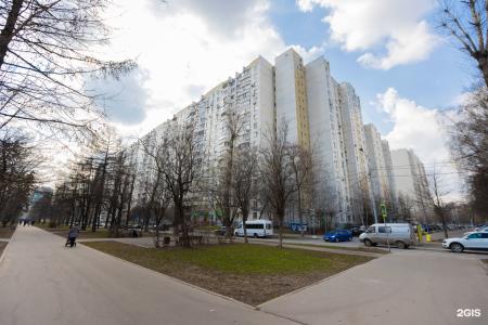 B&B on Novocheremushkinskaya 50 - 26