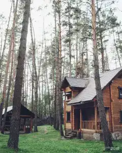 Деревня Берендеевка - 85