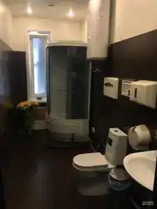 Медведь - 17