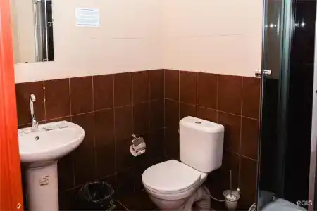 Хвойный - 18