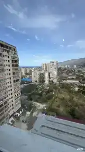 Сантоция - 9
