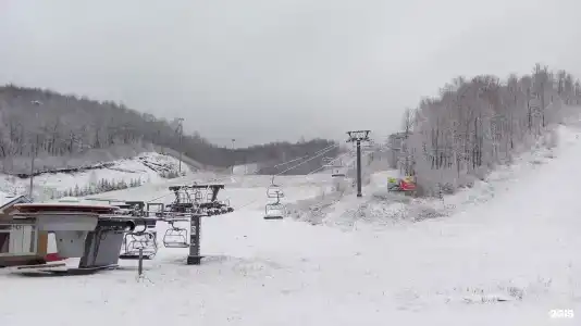 Татнефть Ян - 9