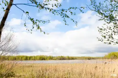 Сойма Парк - 15