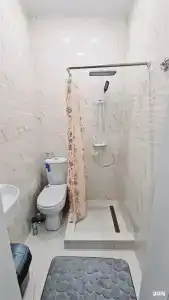 Сосновый бор - 123