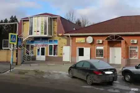 Кедр - 1