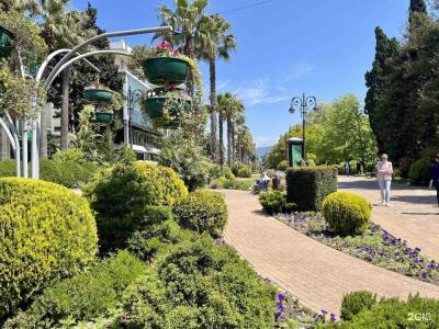 inSochi  - 35