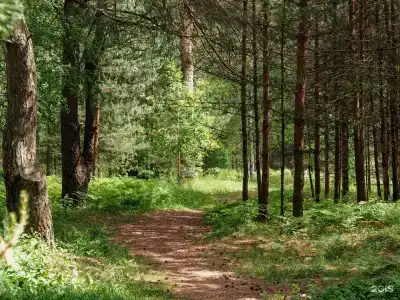 Спасское - 74