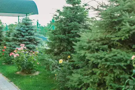 Тихий Дон - 40