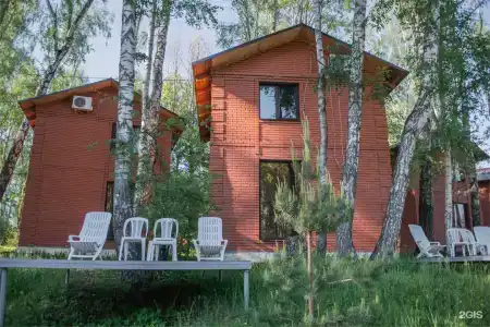 Золотая рыбка - 204
