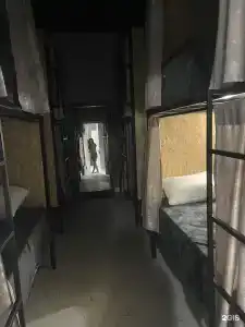Пальмира - 34