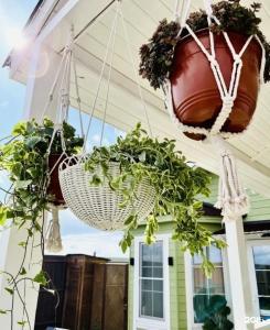 ЭкоДомик - 36