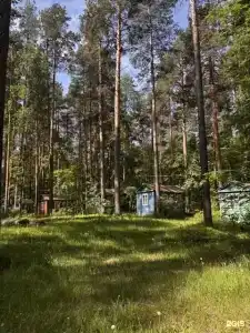 Прибрежный - 91