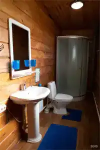 Золотой лотос - 31