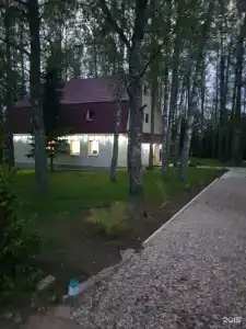 Березовая роща - 14