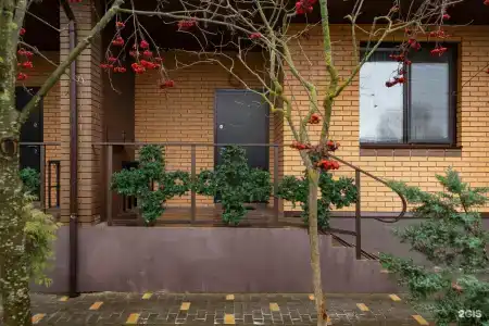 Светлый - 80