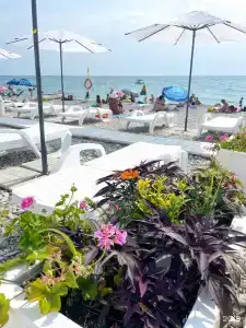 Ola resort - 24