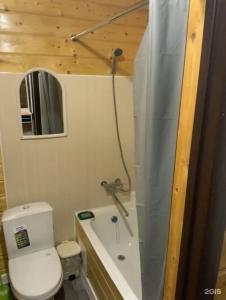 Вилла Позитив - 80