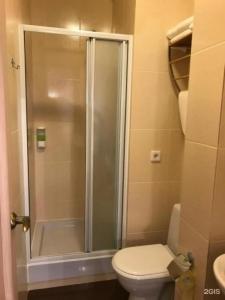 Крокус Стар - 54