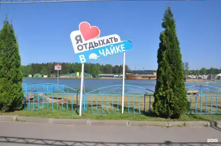 Чайка - 60