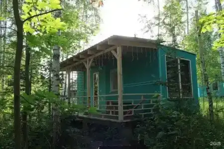 Лесной сон - 56