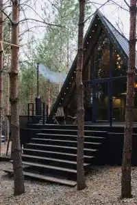 Хвоя - 9