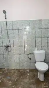 Дельфин2 - 38