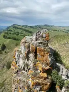Алтай Эко Кедр - 90