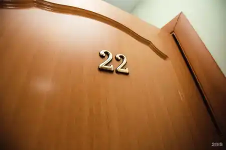 Чайка - 41