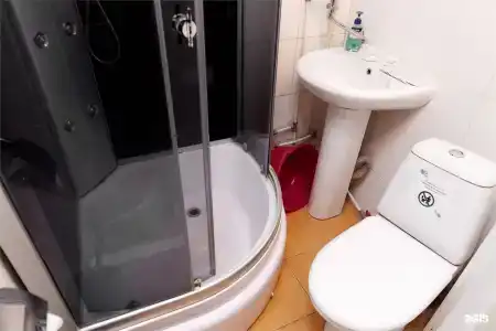 Сосновый бор - 101