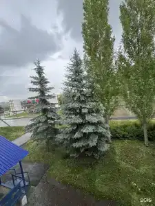 Нур - 27