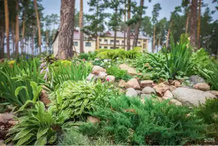 Славянка - 5