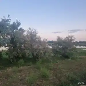 Таловиночка - 41