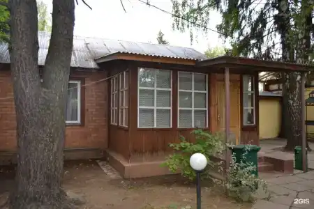 Спутник - 86