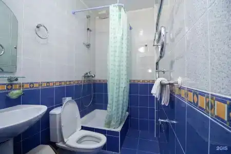 Аист - 101